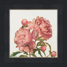 Load image into Gallery viewer, Peony Memories