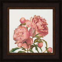 Load image into Gallery viewer, Peony Memories