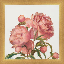 Load image into Gallery viewer, Peony Memories