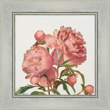 Load image into Gallery viewer, Peony Memories