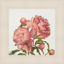 Load image into Gallery viewer, Peony Memories