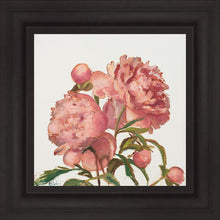 Load image into Gallery viewer, Peony Memories