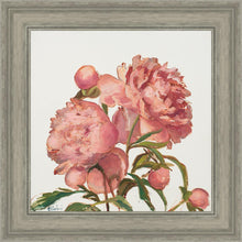 Load image into Gallery viewer, Peony Memories