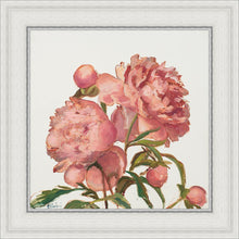 Load image into Gallery viewer, Peony Memories