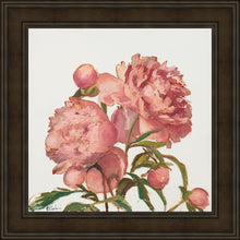 Load image into Gallery viewer, Peony Memories