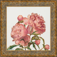 Load image into Gallery viewer, Peony Memories