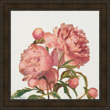 Load image into Gallery viewer, Peony Memories