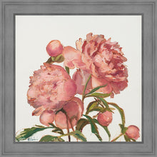 Load image into Gallery viewer, Peony Memories