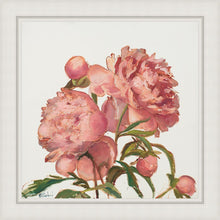 Load image into Gallery viewer, Peony Memories