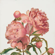 Load image into Gallery viewer, Peony Memories